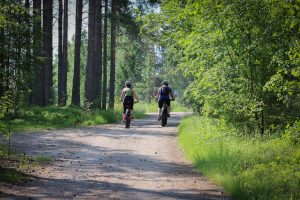 Kaksi naista pyöräilee metsäautotiellä maastopyöräilyreitillä auringonpaisteessa.